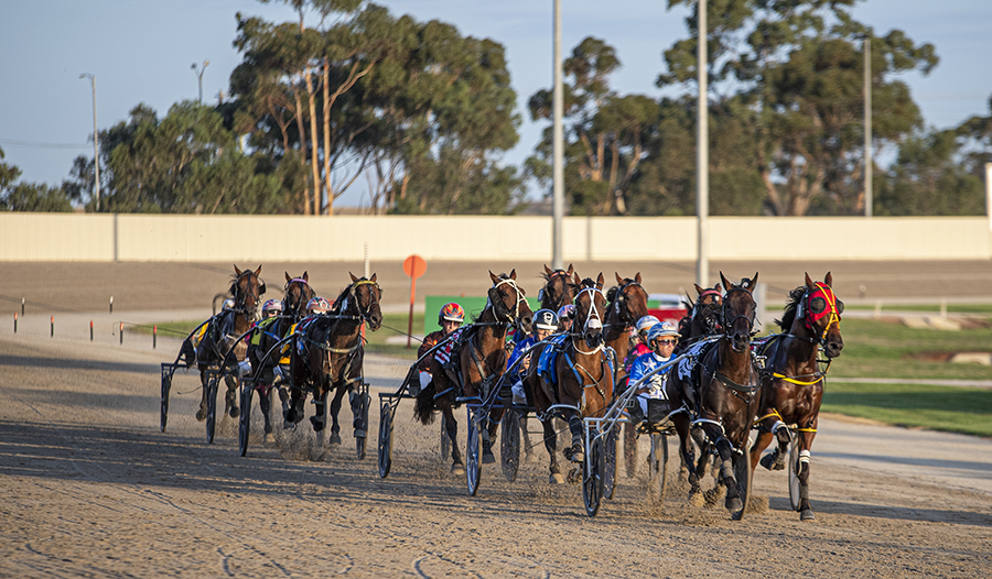 Tip 85+ about harness racing australia